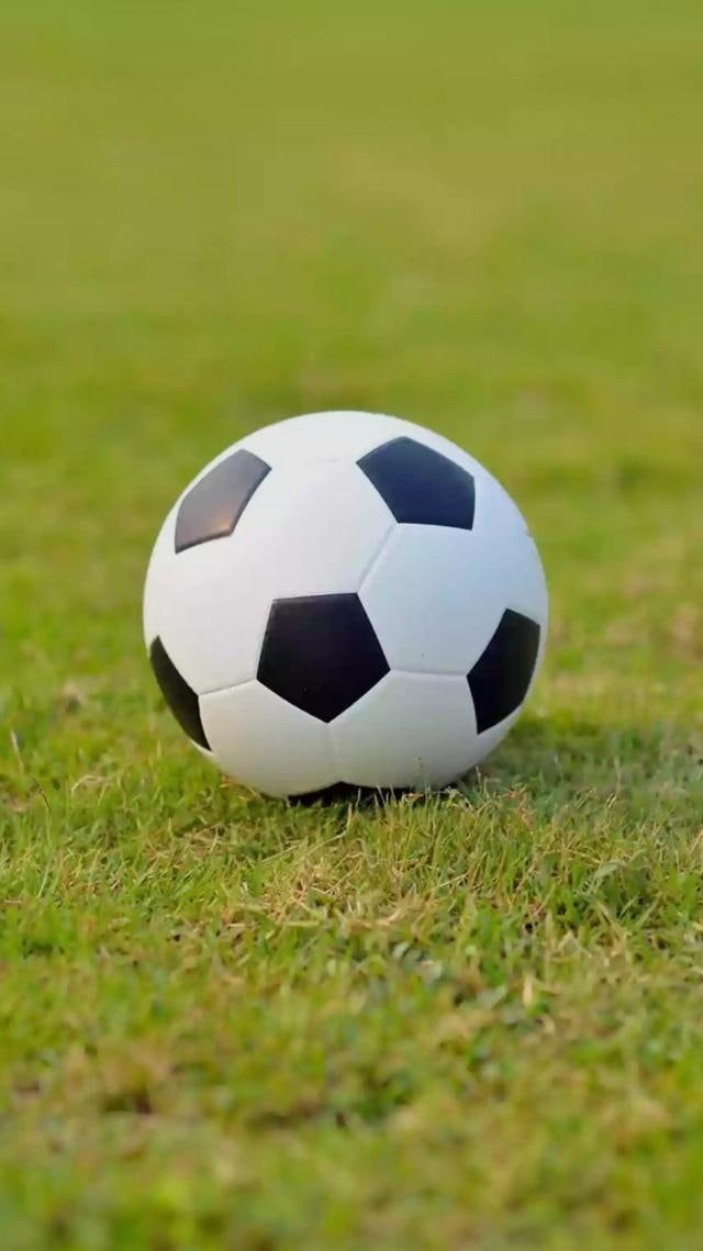 捷报比分手机版版本功能演示